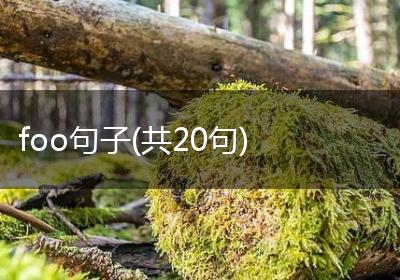 foo句子(共20句)