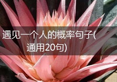 遇见一个人的概率句子(通用20句)