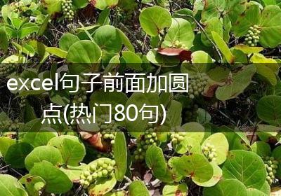 excel句子前面加圆点(热门80句)