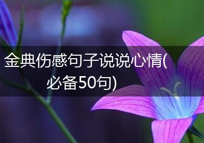 金典伤感句子说说心情(必备50句)