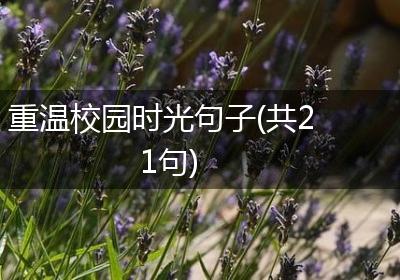 重温校园时光句子(共21句)
