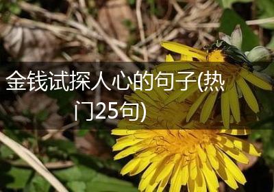 金钱试探人心的句子(热门25句)