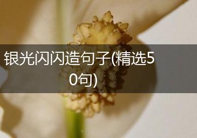 银光闪闪造句子(精选50句)