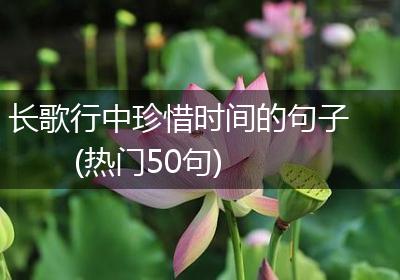 长歌行中珍惜时间的句子(热门50句)