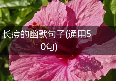 长痘的幽默句子(通用50句)