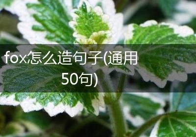 fox怎么造句子(通用50句)
