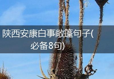 陕西安康白事敞篷句子(必备8句)