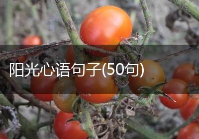 阳光心语句子(50句)