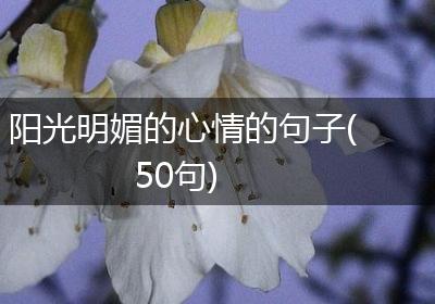 阳光明媚的心情的句子(50句)