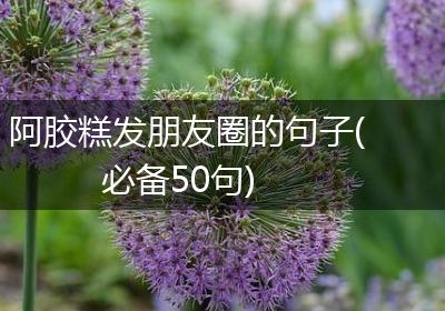 阿胶糕发朋友圈的句子(必备50句)