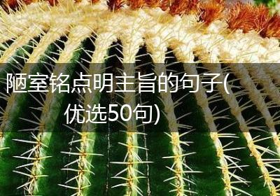 陋室铭点明主旨的句子(优选50句)