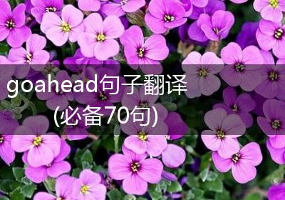 goahead句子翻译(必备70句)