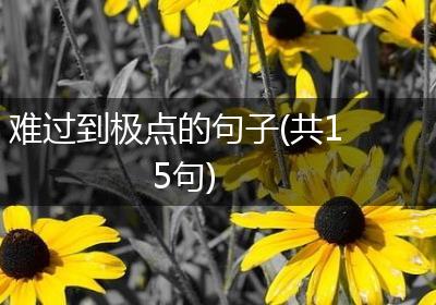 难过到极点的句子(共15句)