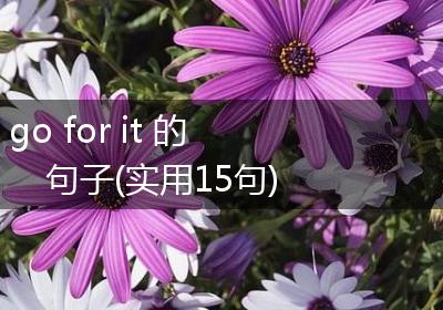 go for it 的句子(实用15句)