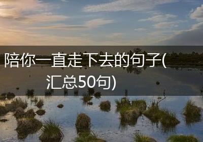 陪你一直走下去的句子(汇总50句)