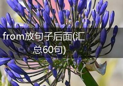 from放句子后面(汇总60句)