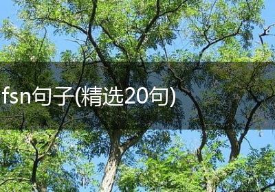 fsn句子(精选20句)
