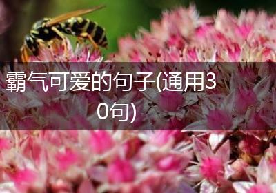 霸气可爱的句子(通用30句)