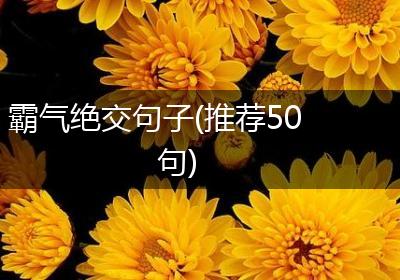 霸气绝交句子(推荐50句)