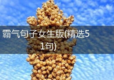 霸气句子女生版(精选51句)