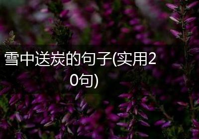 雪中送炭的句子(实用20句)