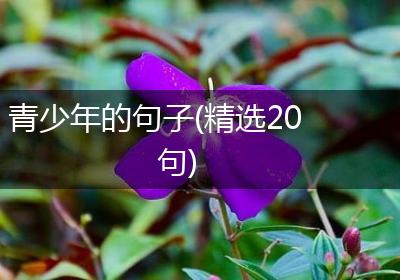 青少年的句子(精选20句)