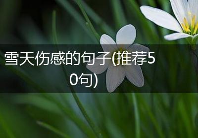 雪天伤感的句子(推荐50句)