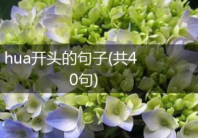 hua开头的句子(共40句)