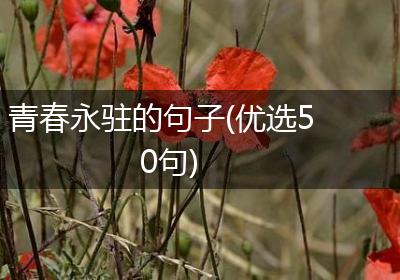 青春永驻的句子(优选50句)