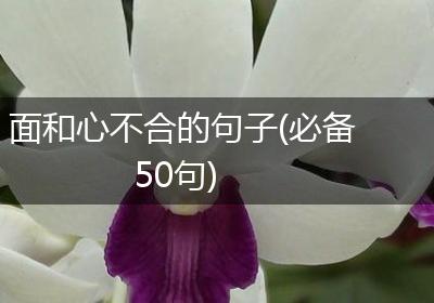 面和心不合的句子(必备50句)