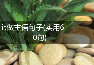 it做主语句子(实用60句)