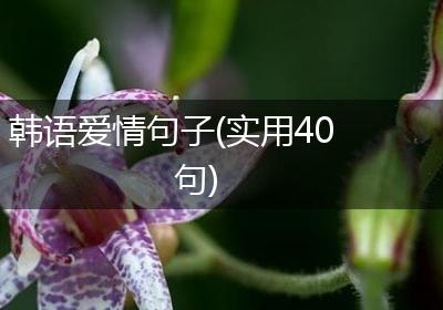 韩语爱情句子(实用40句)