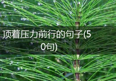 顶着压力前行的句子(50句)
