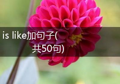 is like加句子(共50句)