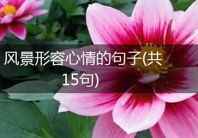 风景形容心情的句子(共15句)