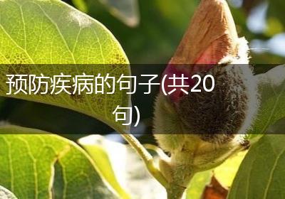 预防疾病的句子(共20句)