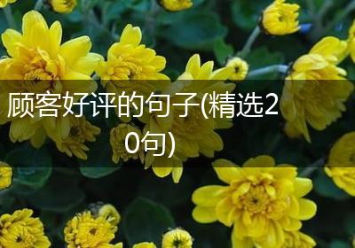 顾客好评的句子(精选20句)