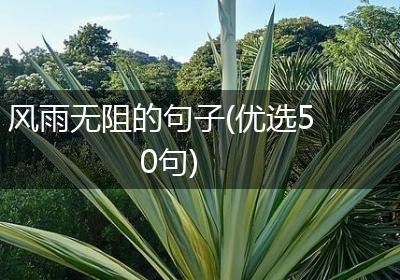 风雨无阻的句子(优选50句)