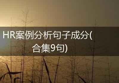 HR案例分析句子成分(合集9句)