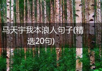 马天宇我本浪人句子(精选20句)