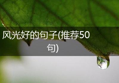 风光好的句子(推荐50句)