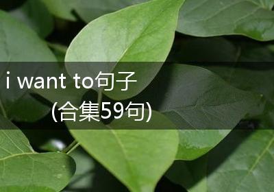 i want to句子(合集59句)