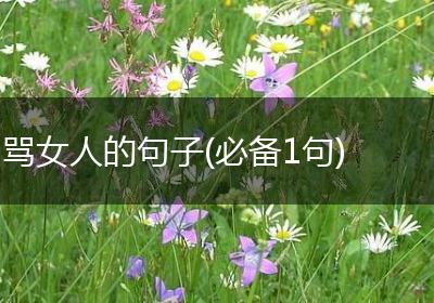 骂女人的句子(必备1句)