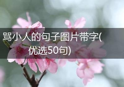 骂小人的句子图片带字(优选50句)