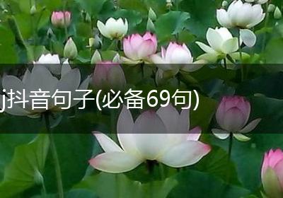 j抖音句子(必备69句)