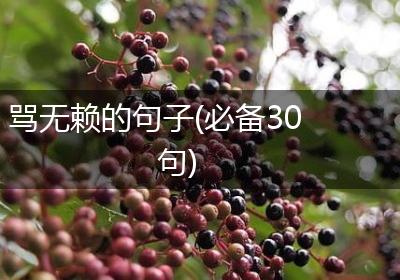 骂无赖的句子(必备30句)