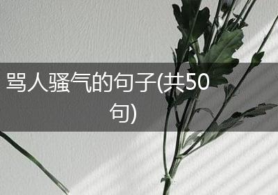 骂人骚气的句子(共50句)