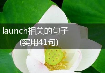 launch相关的句子(实用41句)