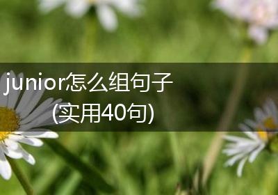 junior怎么组句子(实用40句)