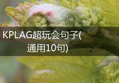 KPLAG超玩会句子(通用10句)